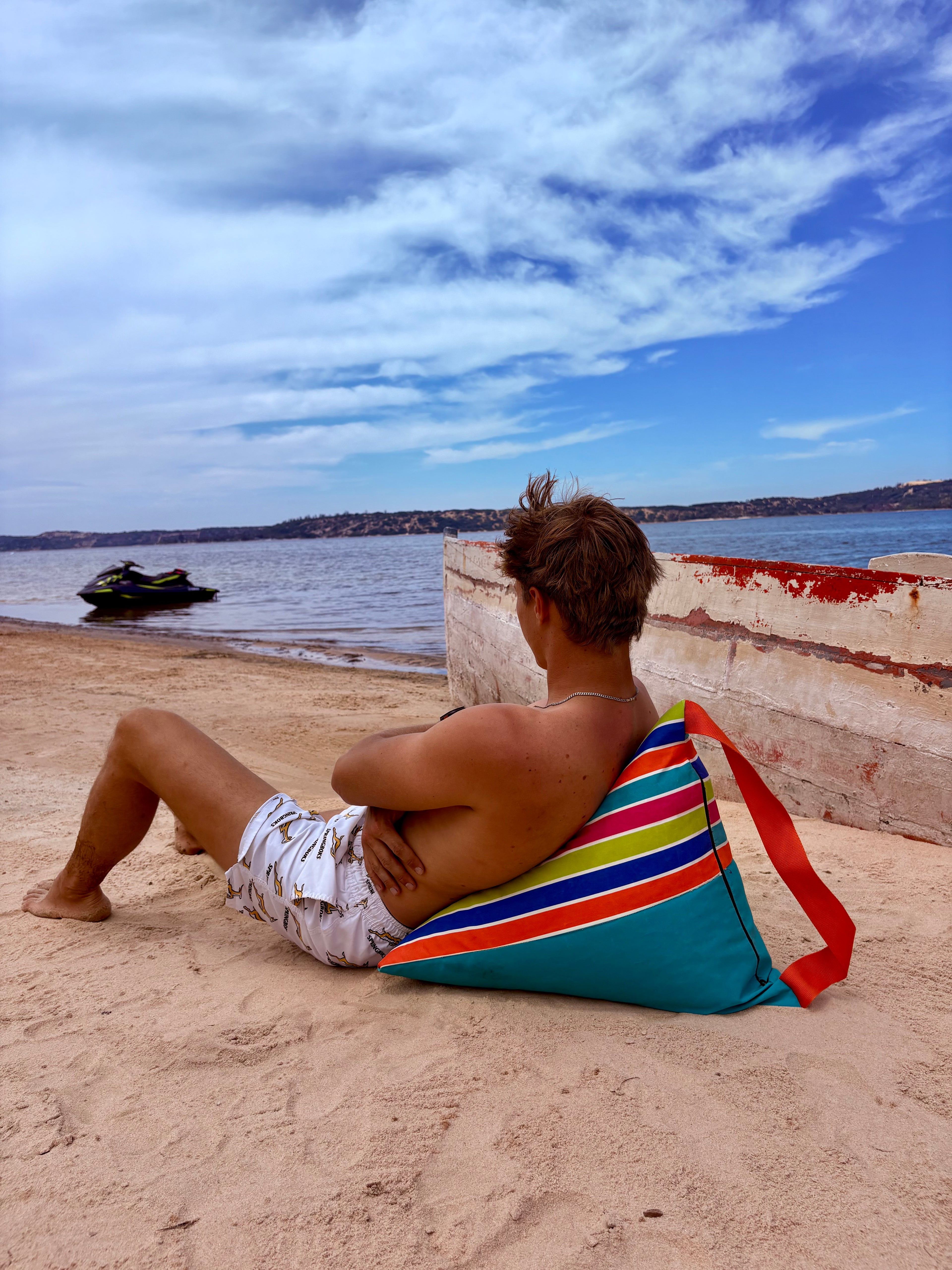 Beach Backrest